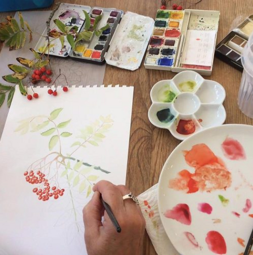 Mixed media botanische workshop materialen - waterverf, potloden en fineliners"